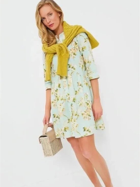 Tuckernuck Dresses & Skirts - Tuckernuck Aqua Watercolor Royal Shirt Dress